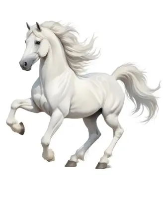 Digital Painting A White Horse With A Long Mane And Tail Standing On Its Hind Legs In A White Background Bold And Slim Lines Brush Strokes 18 C373