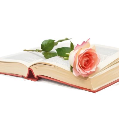 An Open Book With A White Rose On Top White Background 20 75c9