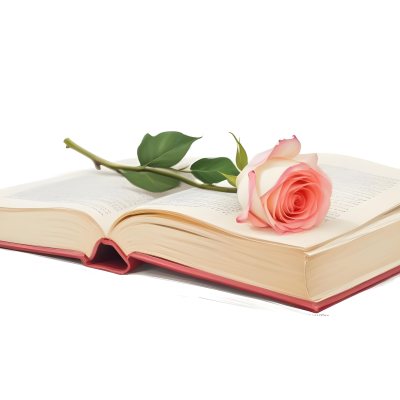 An Open Book With A White Rose On Top White Background 35 D460