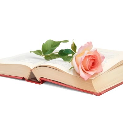 An Open Book With A White Rose On Top White Background 39 F7ab