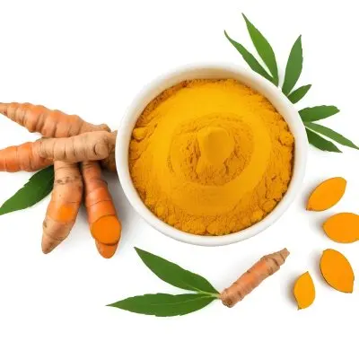 A Bowl Of Bright Yellow Turmeric Powder Surrounded By Fresh Turmeric Roots And Leaves 2 F890