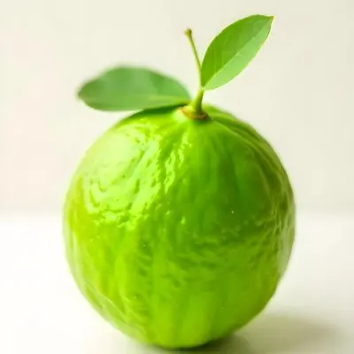 A Green Lime With A Leaf On A White Surface Bright Light Studio Shot Food Photography 38 4901