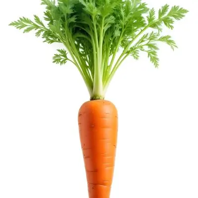 A Vibrant Orange Carrot With Lush Green Leaves Standing Upright Against A Clean White Background Showcasing Its Fresh And Healthy Appearance 2 E7b3