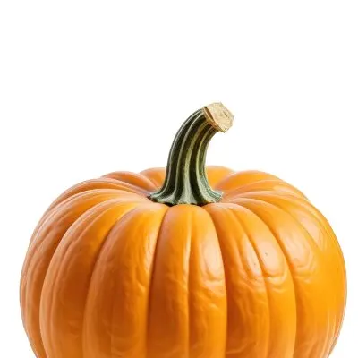 An Orange Pumpkin With A Thick Stem The Pumpkin Has A Rough Texture Isolated On A White Background 1 C57b