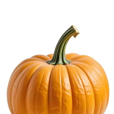 An Orange Pumpkin With A Thick Stem The Pumpkin Has A Rough Texture Isolated On A White Background 31 E17c