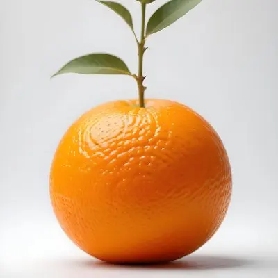 An Orange With A Small Stem On Top The Skin Is Textured And Bright Orange The Background Is White With Some Bokeh 16 2356