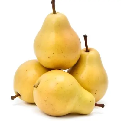 Four Yellow Pears