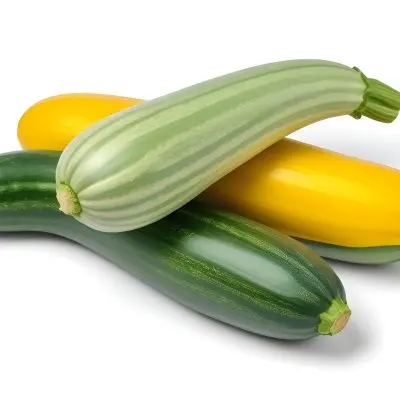 Green And Yellow Zucchini Squash