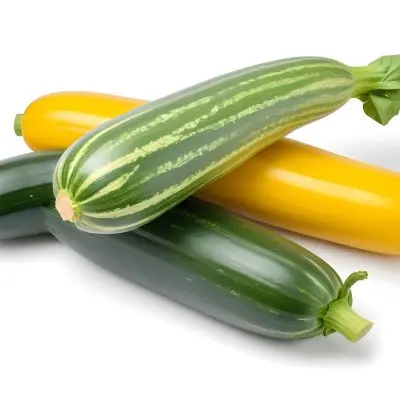 Green And Yellow Zucchini Squash On A White Background 13 E782