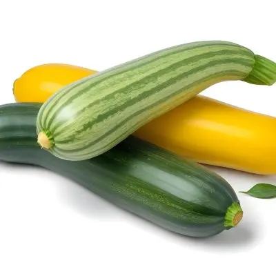 Green And Yellow Zucchini Squash On A White Background 15 Ec41