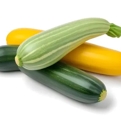 Green And Yellow Zucchini Squash On A White Background 16 29d9