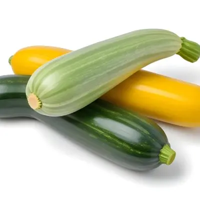 Green And Yellow Zucchini Squash On A White Background 19 1f5e