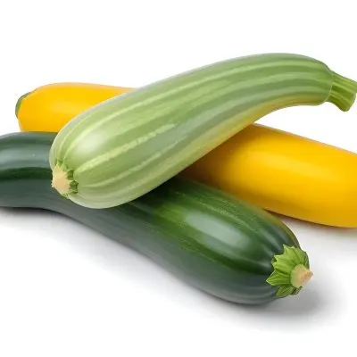 Green And Yellow Zucchini Squash On A White Background 8 Ef47