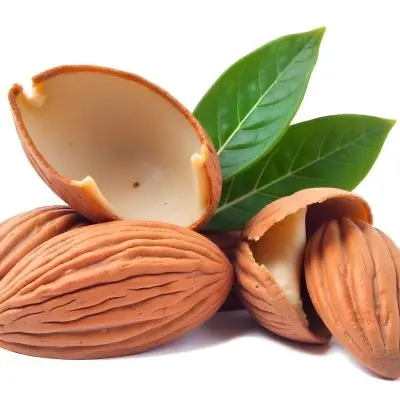 Pile Of Almonds With Green Leaves Close Up 14 Cdcb