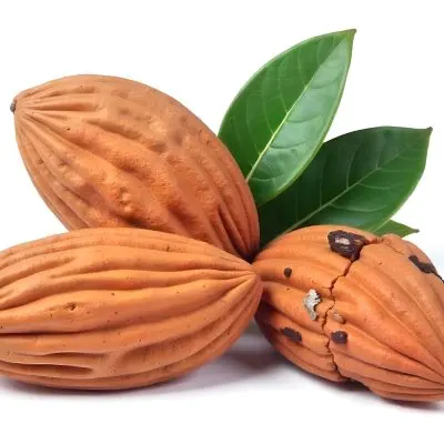 Pile Of Almonds With Green Leaves Close Up 15 7e18