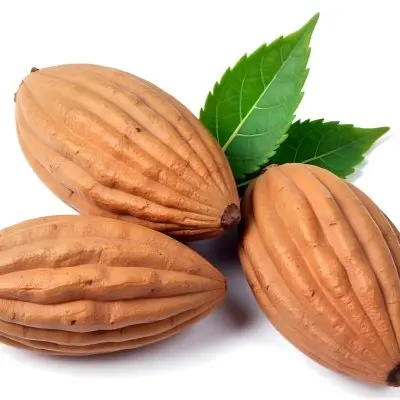 Pile Of Almonds With Green Leaves Close Up 9 E607