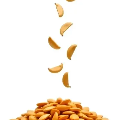 Pumpkin Seeds Falling Into A Pile Of Pumpkin Seeds Isolated On A White Background 1 98c7