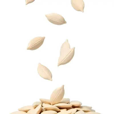 Pumpkin Seeds Falling Into A Pile Of Pumpkin Seeds Isolated On A White Background 16 9388