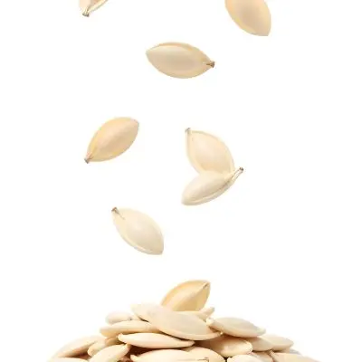 Pumpkin Seeds Falling Into A Pile Of Pumpkin Seeds Isolated On A White Background 30 0538