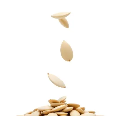 Pumpkin Seeds Falling Into A Pile Of Pumpkin Seeds Isolated On A White Background 35 784b