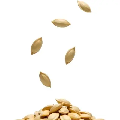 Pumpkin Seeds Falling Into A Pile Of Pumpkin Seeds Isolated On A White Background 37 D405