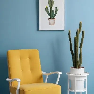 Yellow Armchair With A White Frame On The Wall And A White Table With Cactuses In A Blue Room 4 E6a9
