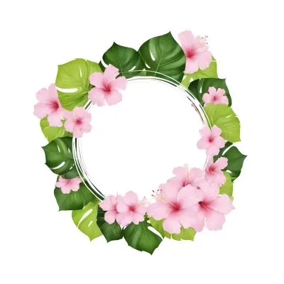 A Circle Of Pink Hibiscus Flowers And Green Monstera Leaves Green Background Botanical Illustration Floral Wreath Tropical Theme Vibrant Colors Watercolor Style Elegant Design Nature Inspired 12 04f5