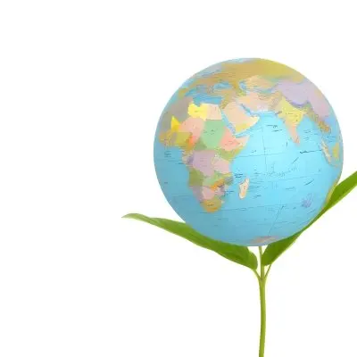 A Globe On Top Of A Green Plant With Two Leaves The Background Is Plain White 12 02fb