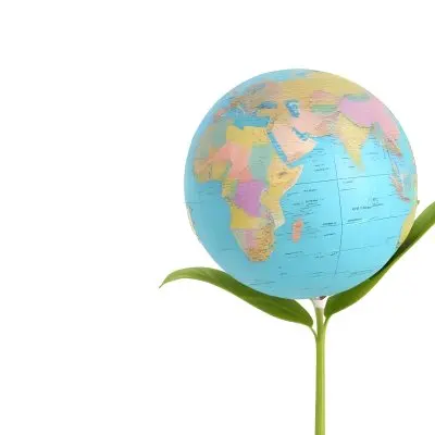 A Globe On Top Of A Green Plant With Two Leaves The Background Is Plain White 16 5cb2