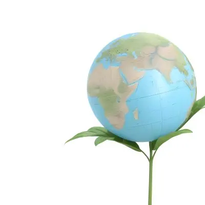 A Globe On Top Of A Green Plant With Two Leaves The Background Is Plain White 18 7d70