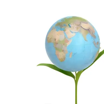 A Globe On Top Of A Green Plant With Two Leaves The Background Is Plain White 21 4110