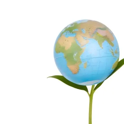 A Globe On Top Of A Green Plant With Two Leaves The Background Is Plain White 27 88a4