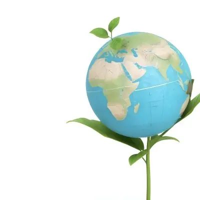 A Globe On Top Of A Green Plant With Two Leaves The Background Is Plain White 3 9caa