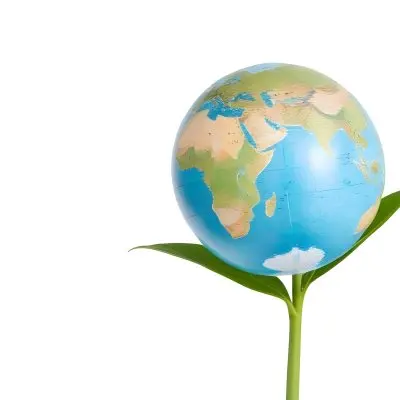 A Globe On Top Of A Green Plant With Two Leaves The Background Is Plain White 32 67f1