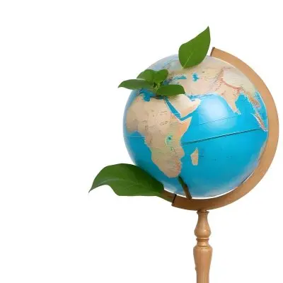 A Globe On Top Of A Green Plant With Two Leaves The Background Is Plain White 33 355d
