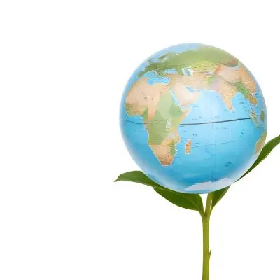 A Globe On Top Of A Green Plant With Two Leaves The Background Is Plain White 49 5709