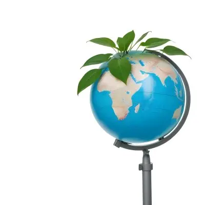A Globe On Top Of A Green Plant With Two Leaves The Background Is Plain White 55 2935