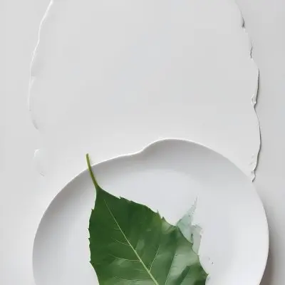 A Green Leaf On A White Plate Minimalist Composition Clean And Bright Aesthetic Soft Lighting White Background Nature Inspired Simple And Elegant Fresh And Organic 15 85c7