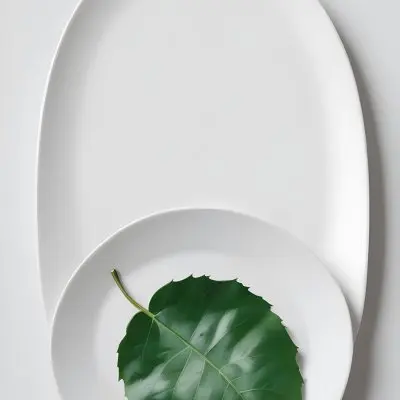 A Green Leaf On A White Plate Minimalist Composition Clean And Bright Aesthetic Soft Lighting White Background Nature Inspired Simple And Elegant Fresh And Organic 3 8b10