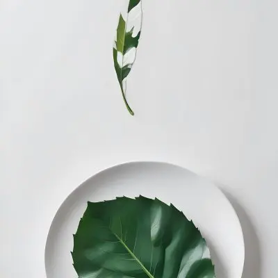 A Green Leaf On A White Plate Minimalist Composition Clean And Bright Aesthetic Soft Lighting White Background Nature Inspired Simple And Elegant Fresh And Organic 5 83c8