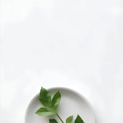 A Green Leaf On A White Plate Minimalist Composition Clean And Bright Aesthetic Soft Lighting White Background Nature Inspired Simple And Elegant Fresh And Organic 9 97a9