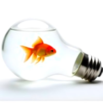A Light Bulb Filled With Water And A Goldfish Swimming Inside The Background Is Plain White The Light Bulb Is Lying On Its Side 1 C330