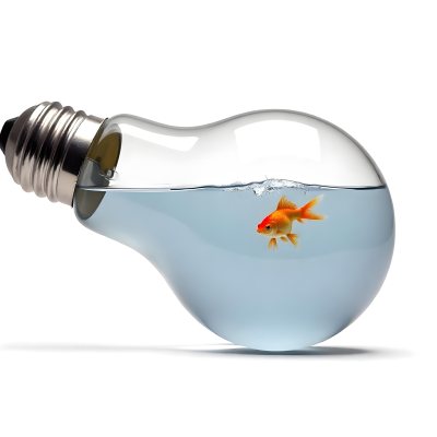 A Light Bulb Filled With Water And A Goldfish Swimming Inside The Background Is Plain White The Light Bulb Is Lying On Its Side 10 774e
