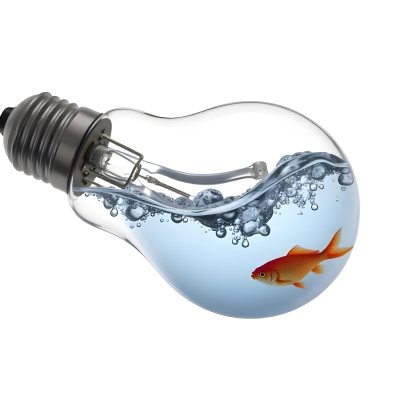 A Light Bulb Filled With Water And A Goldfish Swimming Inside The Background Is Plain White The Light Bulb Is Lying On Its Side 11 Acbb