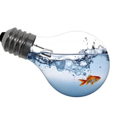 A Light Bulb Filled With Water And A Goldfish Swimming Inside The Background Is Plain White The Light Bulb Is Lying On Its Side 15 5689