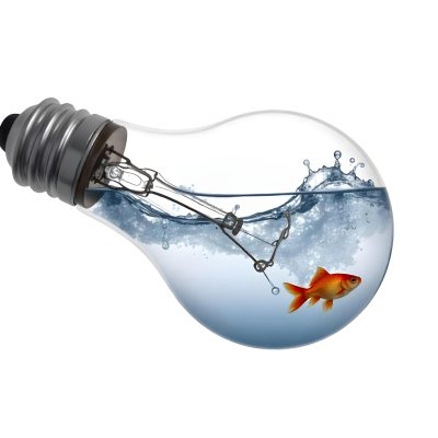 A Light Bulb Filled With Water And A Goldfish Swimming Inside The Background Is Plain White The Light Bulb Is Lying On Its Side 16 6aad
