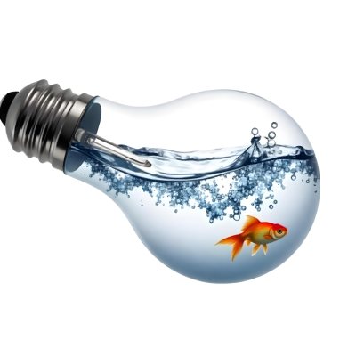 A Light Bulb Filled With Water And A Goldfish Swimming Inside The Background Is Plain White The Light Bulb Is Lying On Its Side 17 E6ab