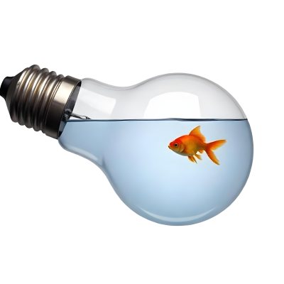 A Light Bulb Filled With Water And A Goldfish Swimming Inside The Background Is Plain White The Light Bulb Is Lying On Its Side 18 2a8c