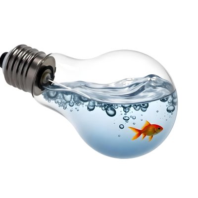 A Light Bulb Filled With Water And A Goldfish Swimming Inside The Background Is Plain White The Light Bulb Is Lying On Its Side 19 Be0f