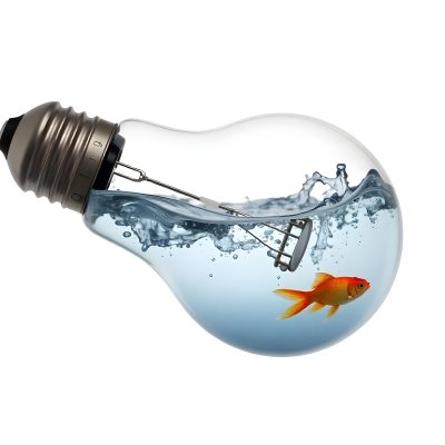 A Light Bulb Filled With Water And A Goldfish Swimming Inside The Background Is Plain White The Light Bulb Is Lying On Its Side 20 Fd2f